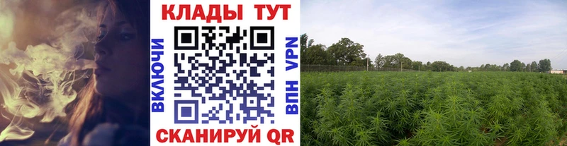 Все наркотики Салаир Alpha-PVP  Меф мяу мяу  LSD-25  Марихуана 