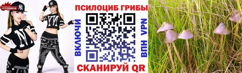 Галлюциногенные грибы мухоморы  даркнет сайт  Салаир 